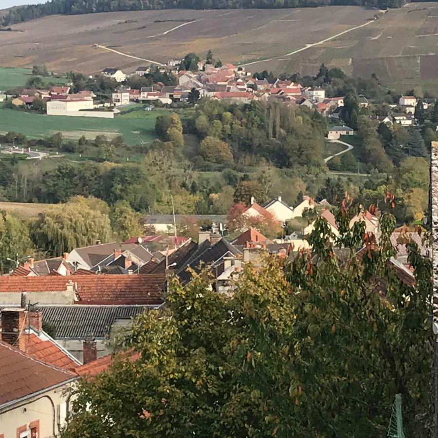 Chambres D'Hotes Karine Smej Châtillon-sur-Marne Eksteriør bilde